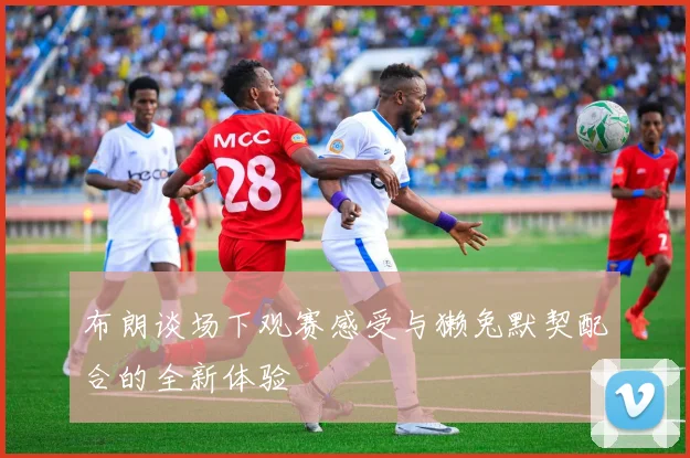布朗谈场下观赛感受与獭兔默契配合的全新体验